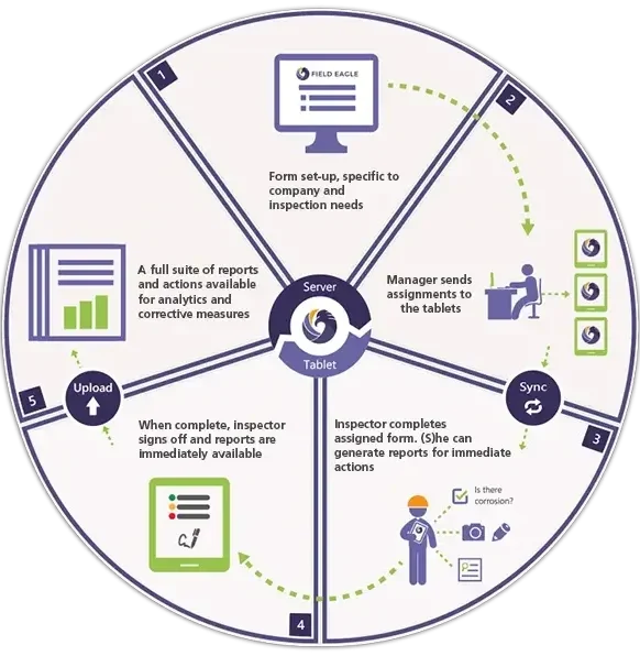 The steps to our Field Eagle Workflow