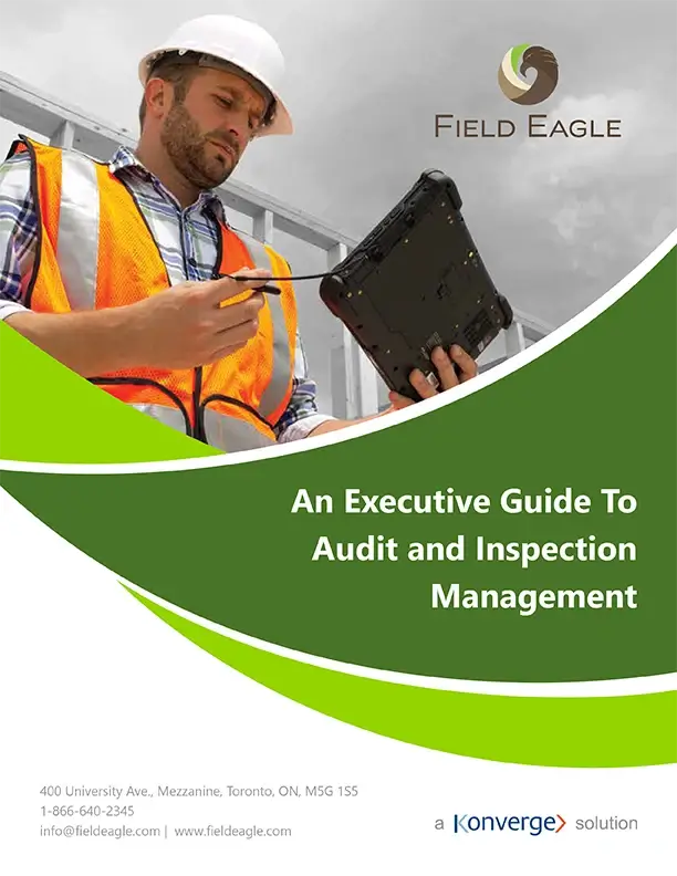 FE White Papers Guide to Inspection cover image