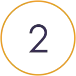 step 02
