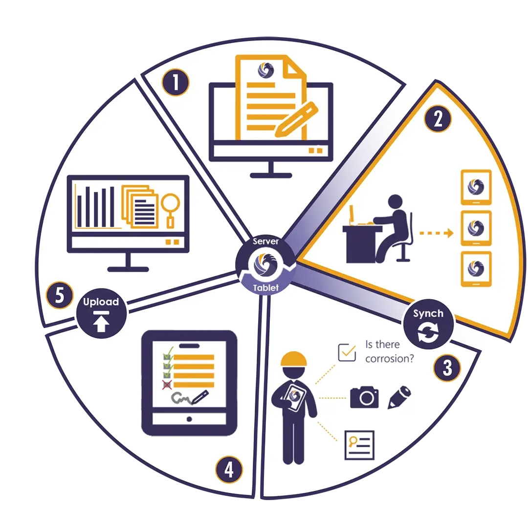 fe workflow