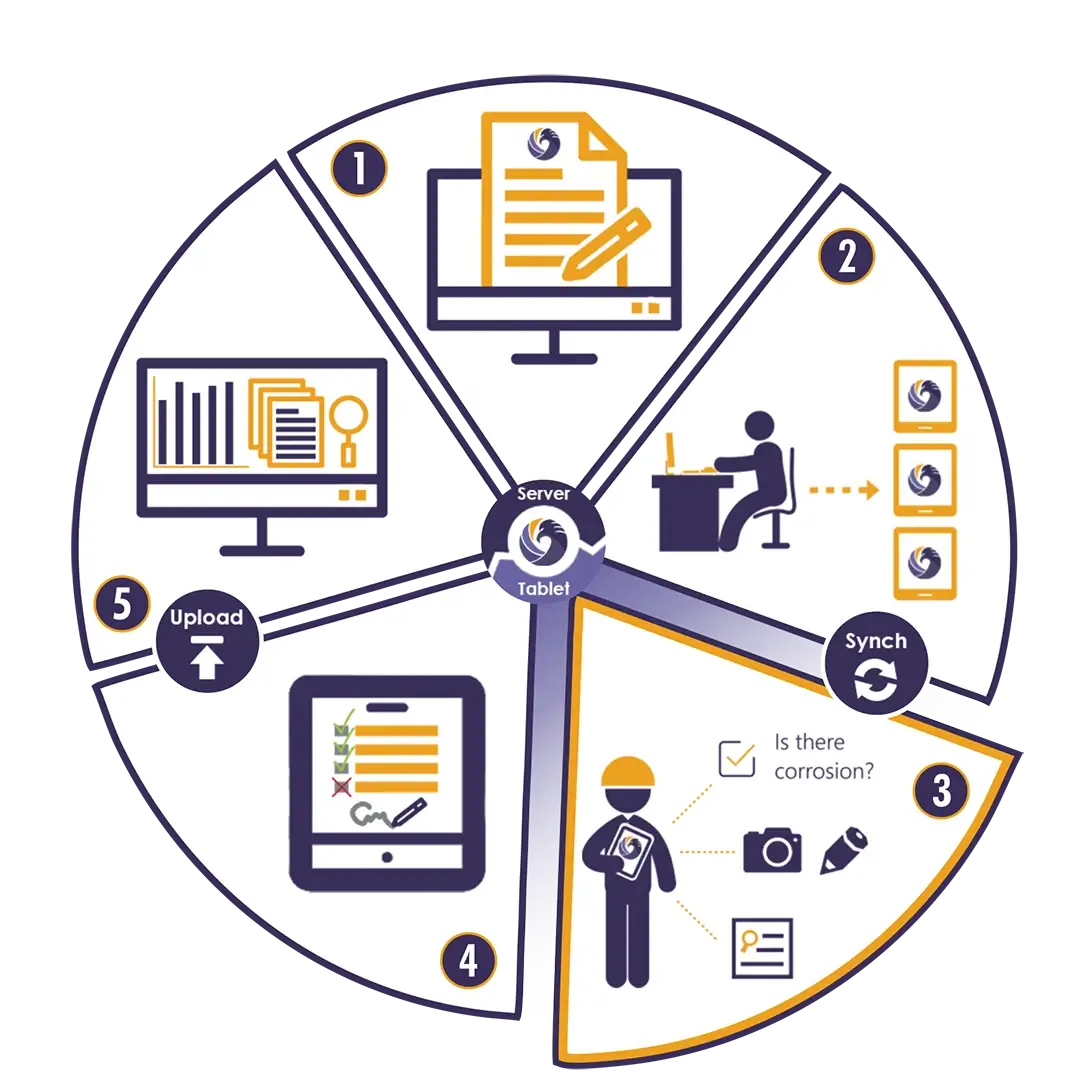 fe workflow
