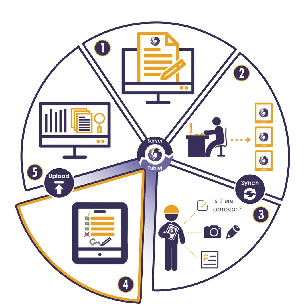 fe workflow