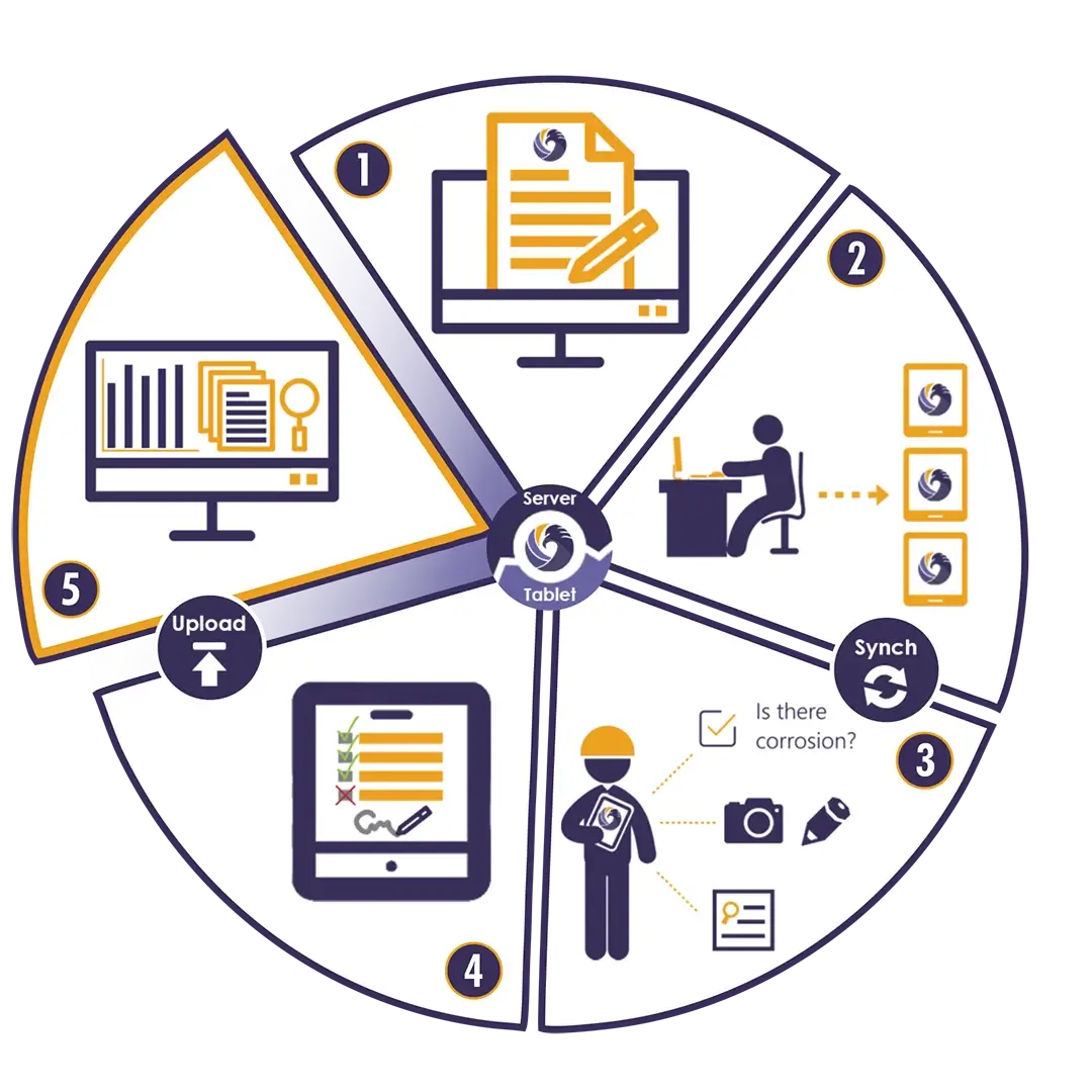 fe workflow