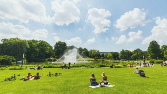 Public Park Maintenance and Safety Checklist
