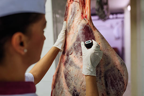 Raw Meat Inspection Form