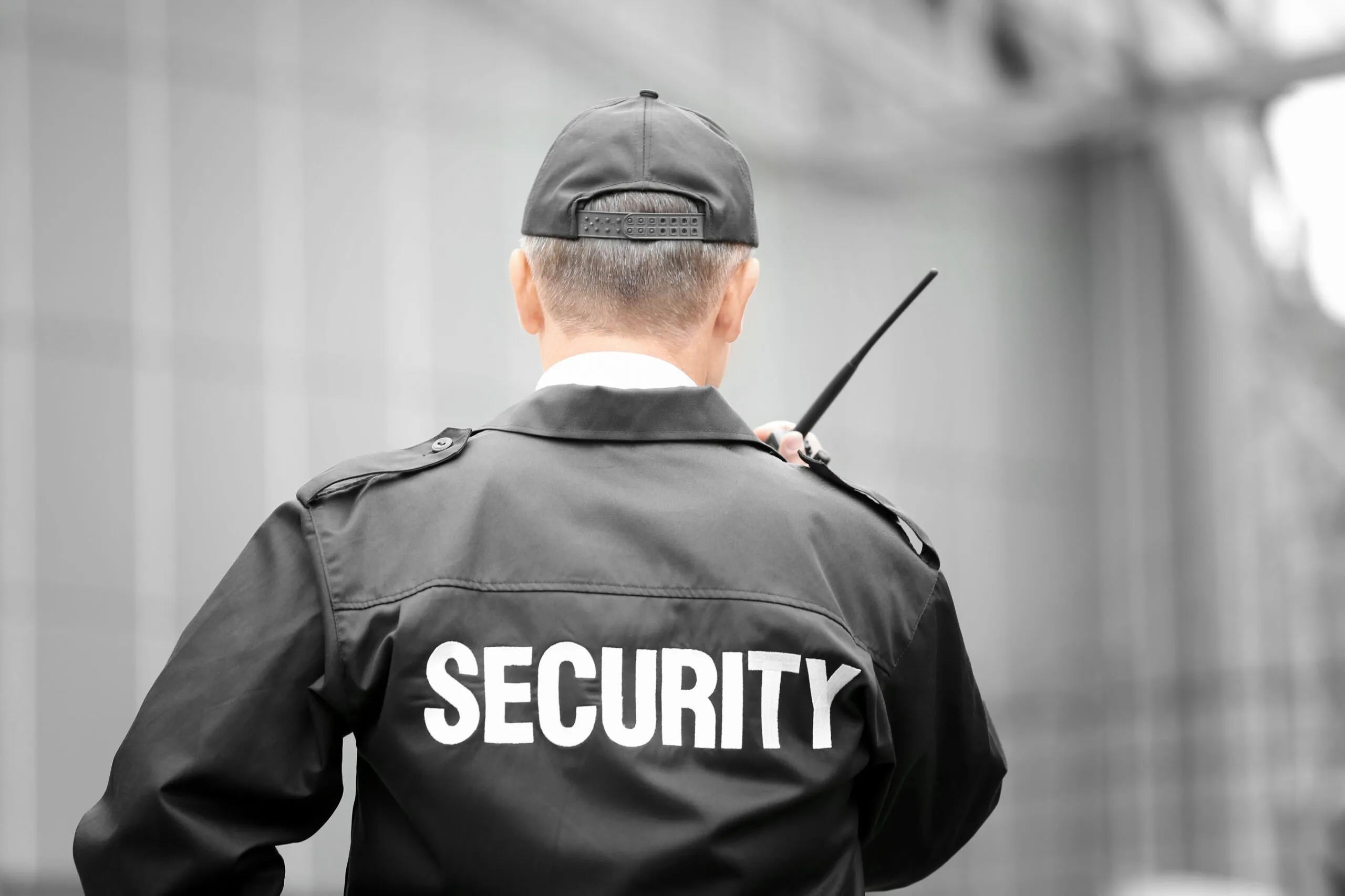 Security & Anti-Smuggling Inspections
