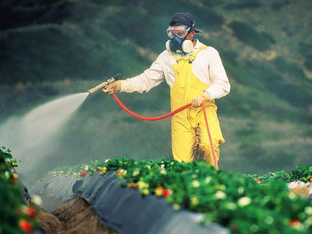 pesticide handling safety audits